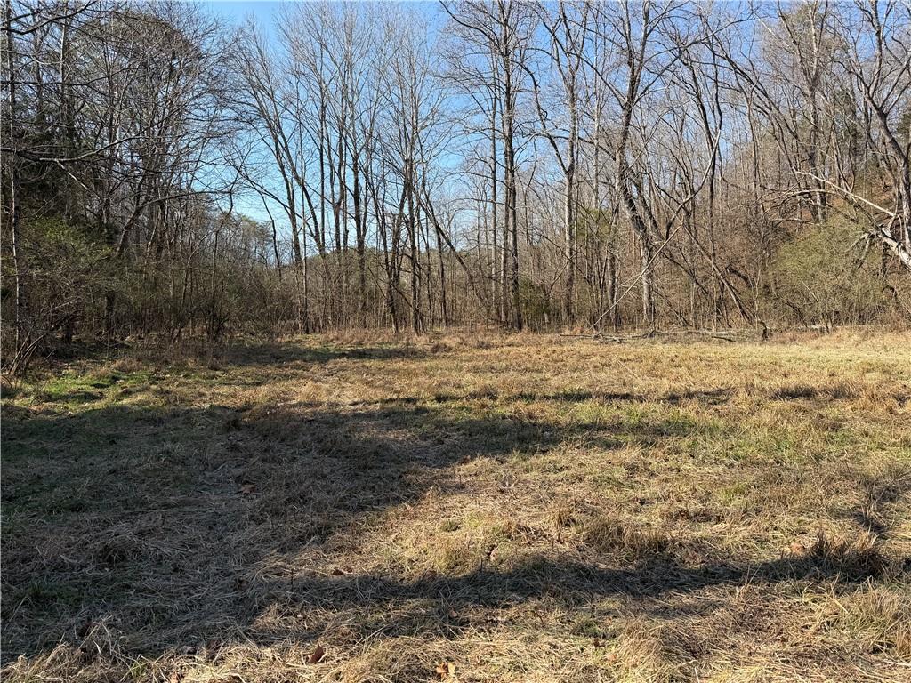 0 Brookshire Road Ranger, GA 30734 - Photo 25 of 59 a view of dirt yard with a large tree