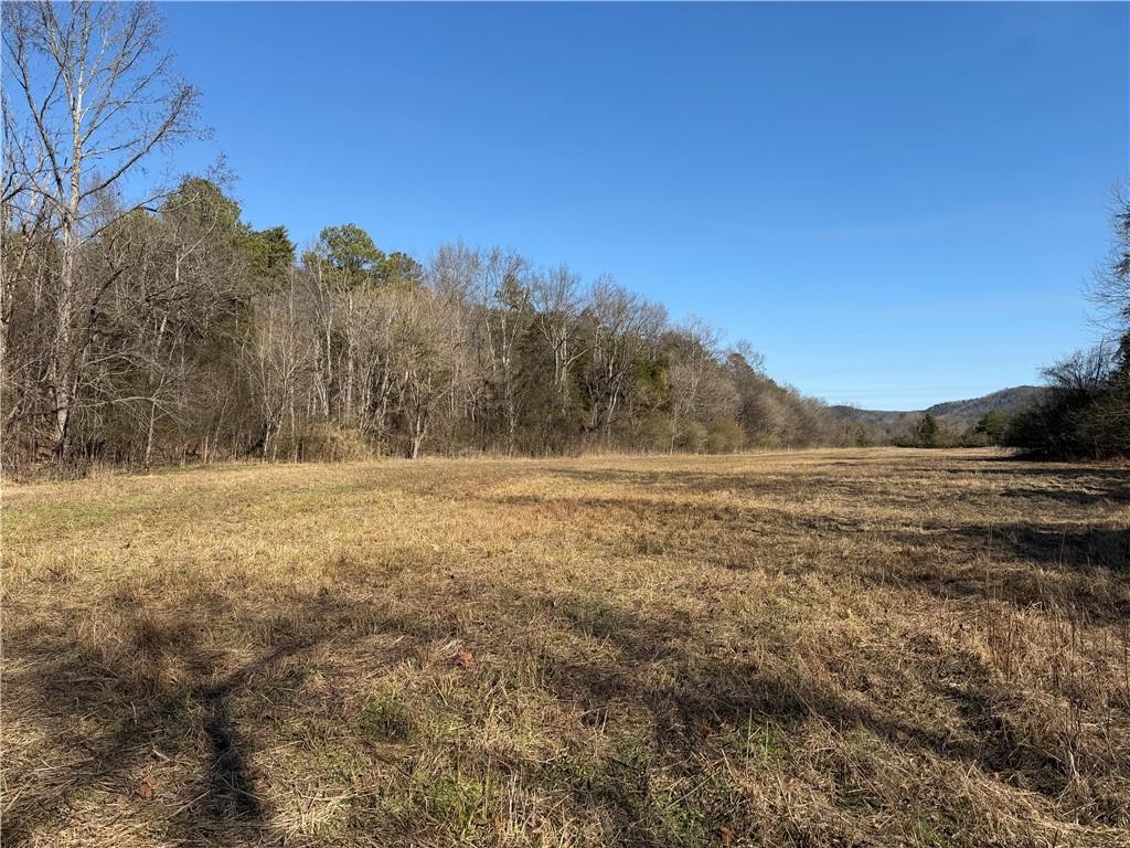 0 Brookshire Road Ranger, GA 30734 - Photo 26 of 59 a view of mountain with mountain in the background