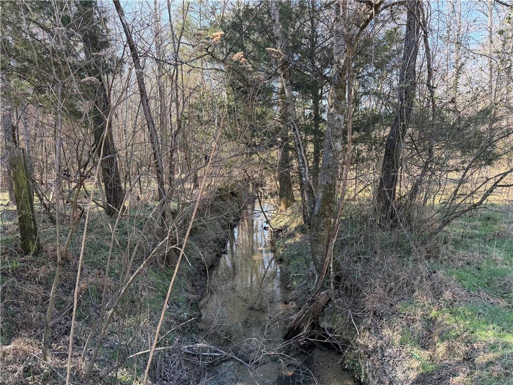 0 Brookshire Road Ranger, GA 30734 - Photo 27 of 59 a view of forest