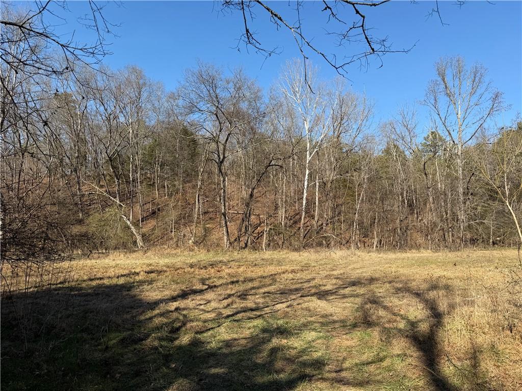 0 Brookshire Road Ranger, GA 30734 - Photo 28 of 59 a view of water covered with snow