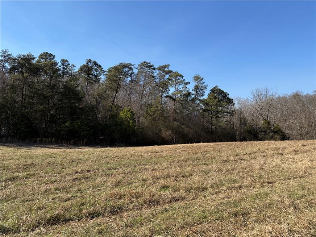 0 Brookshire Road Ranger, GA 30734 - Photo 29 of 59 a view of a yard