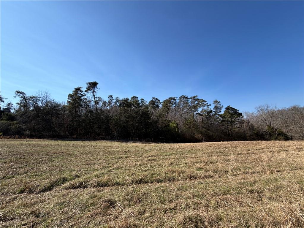 0 Brookshire Road Ranger, GA 30734 - Photo 30 of 59