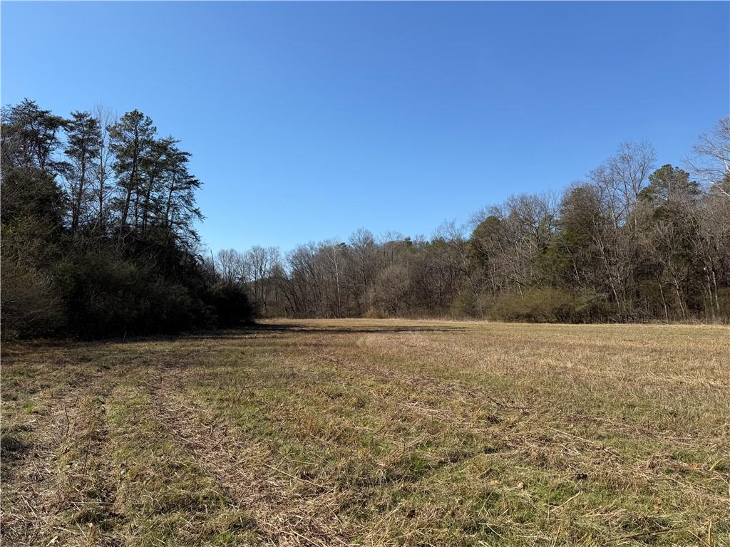 0 Brookshire Road Ranger, GA 30734 - Photo 3 of 59 a view of an outdoor space and a yard