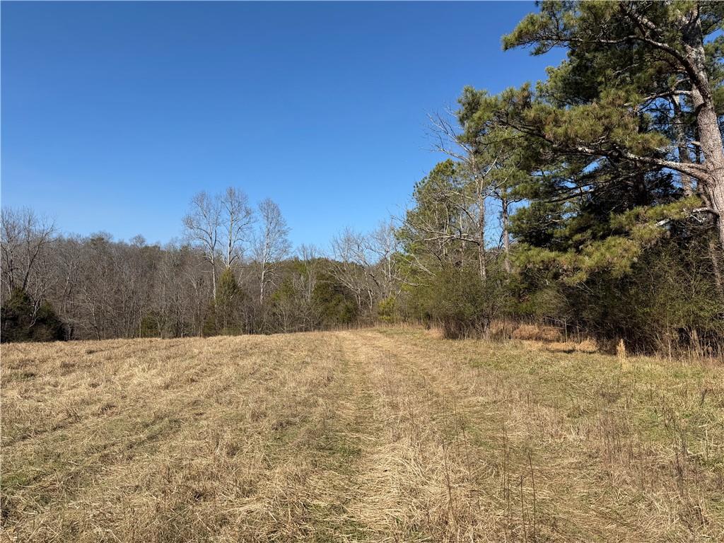 0 Brookshire Road Ranger, GA 30734 - Photo 32 of 59 a view of mountain view with mountains in the background