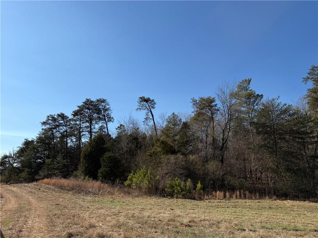 0 Brookshire Road Ranger, GA 30734 - Photo 34 of 59