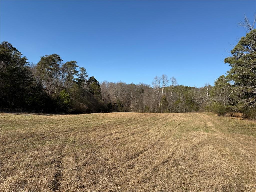 0 Brookshire Road Ranger, GA 30734 - Photo 36 of 59 a view of an outdoor space and a yard