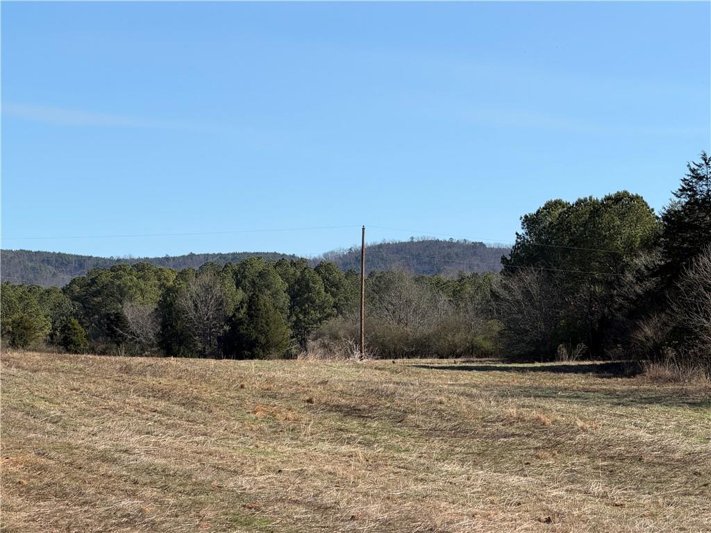 0 Brookshire Road Ranger, GA 30734 - Photo 37 of 59 a view of mountain view with trees