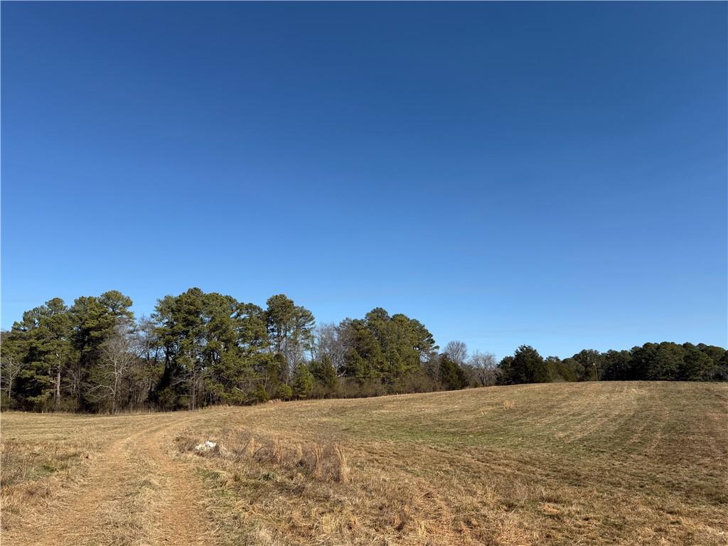 0 Brookshire Road Ranger, GA 30734 - Photo 38 of 59