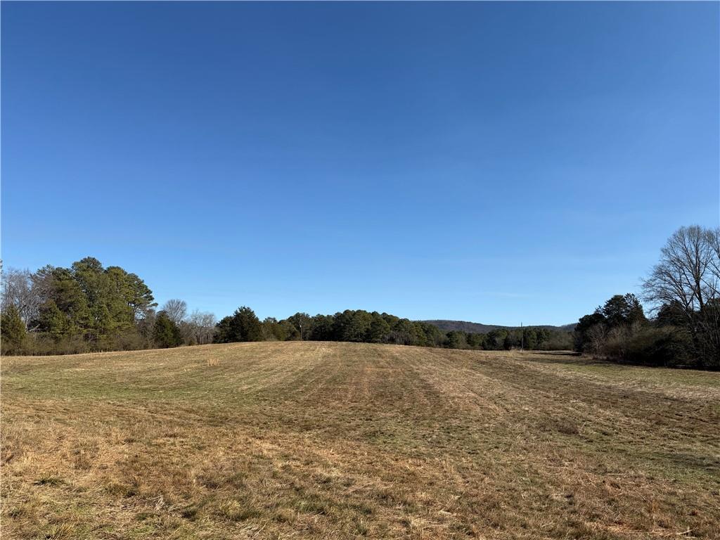 0 Brookshire Road Ranger, GA 30734 - Photo 39 of 59 a view of lake and mountain