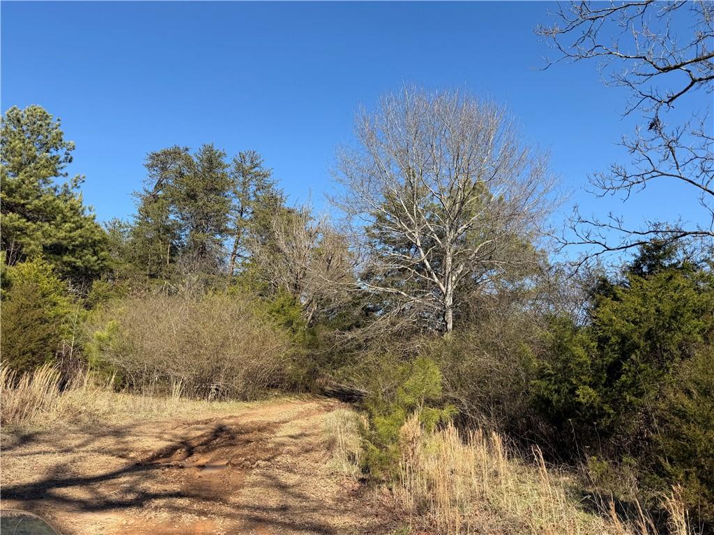 0 Brookshire Road Ranger, GA 30734 - Photo 40 of 59 a view of a dry yard with wooden fence