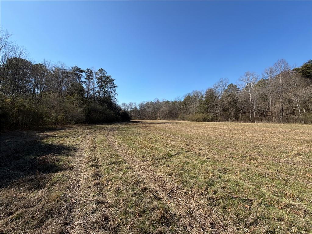 0 Brookshire Road Ranger, GA 30734 - Photo 4 of 59 a view of a lake view with mountain view