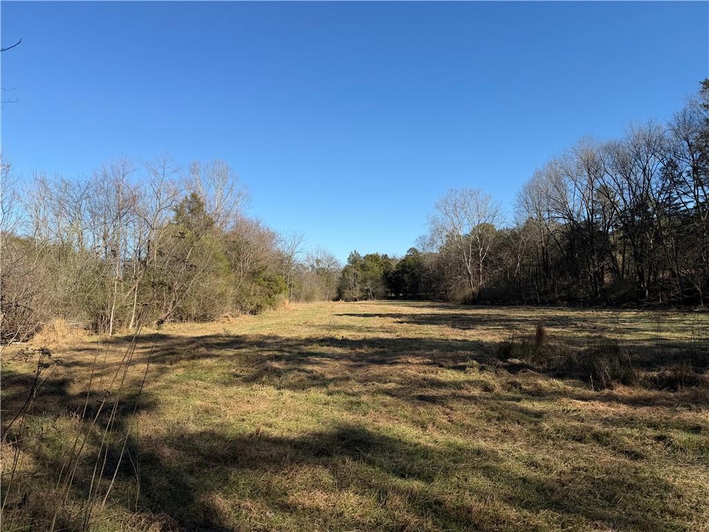 0 Brookshire Road Ranger, GA 30734 - Photo 41 of 59 a view of an ocean beach