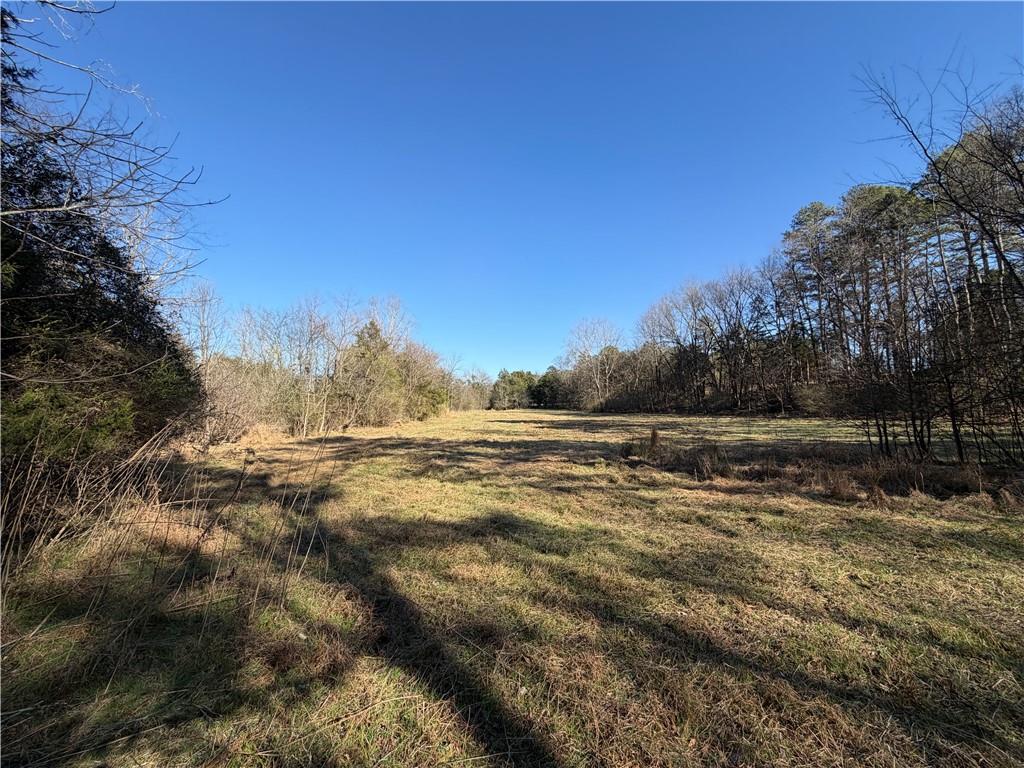 0 Brookshire Road Ranger, GA 30734 - Photo 42 of 59 a view of lake with green space