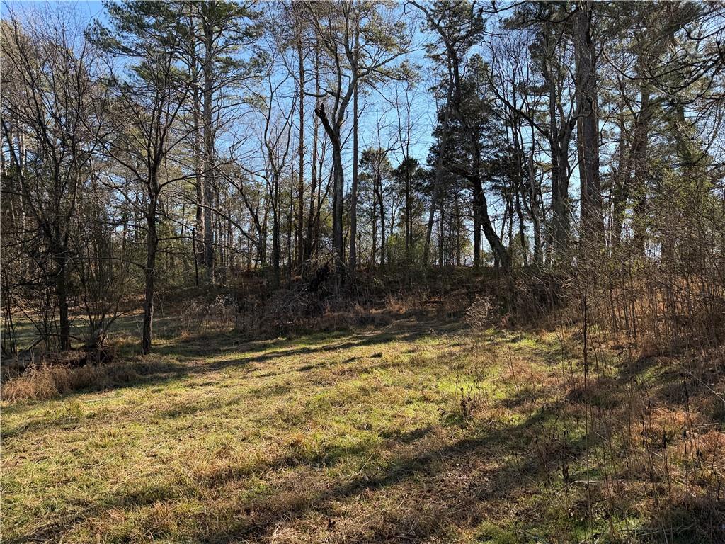 0 Brookshire Road Ranger, GA 30734 - Photo 43 of 59 a view of a yard with trees