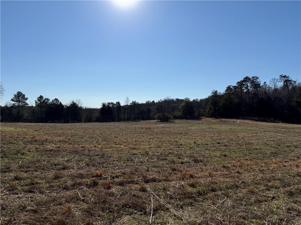 0 Brookshire Road Ranger, GA 30734 - Photo 44 of 59 a view of lake and mountain view