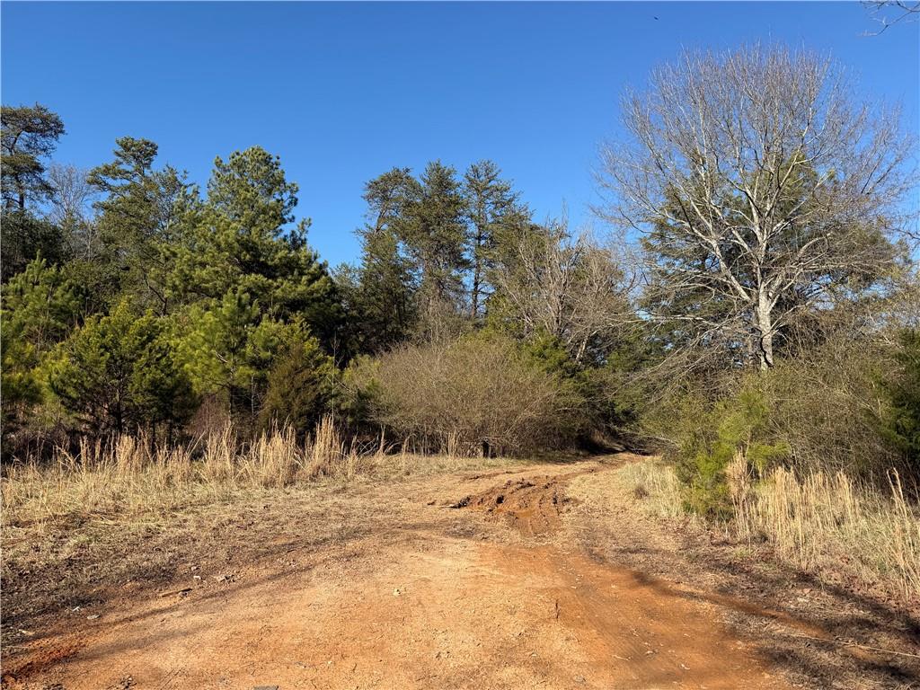 0 Brookshire Road Ranger, GA 30734 - Photo 46 of 59 a view of snow covered with trees