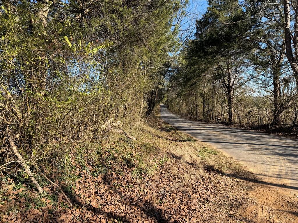 0 Brookshire Road Ranger, GA 30734 - Photo 47 of 59 a view of a yard with large trees