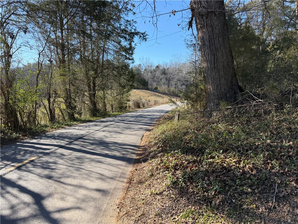 0 Brookshire Road Ranger, GA 30734 - Photo 48 of 59 a view of a backyard of the house
