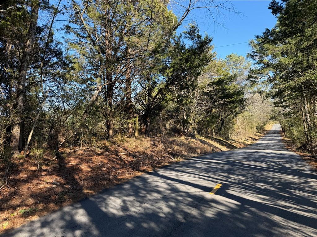0 Brookshire Road Ranger, GA 30734 - Photo 49 of 59 a view of a yard with a tree