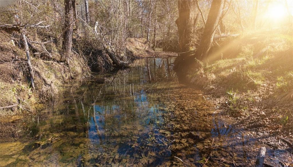 0 Brookshire Road Ranger, GA 30734 - Photo 50 of 59