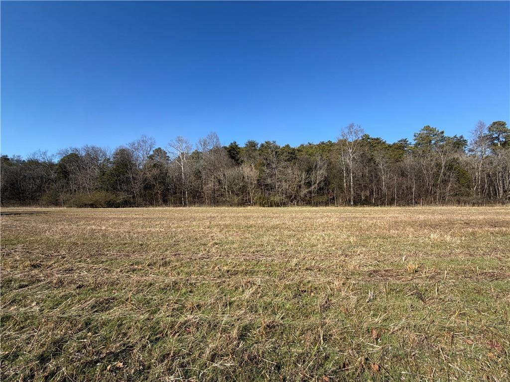 0 Brookshire Road Ranger, GA 30734 - Photo 5 of 59 a view of an outdoor space and a yard