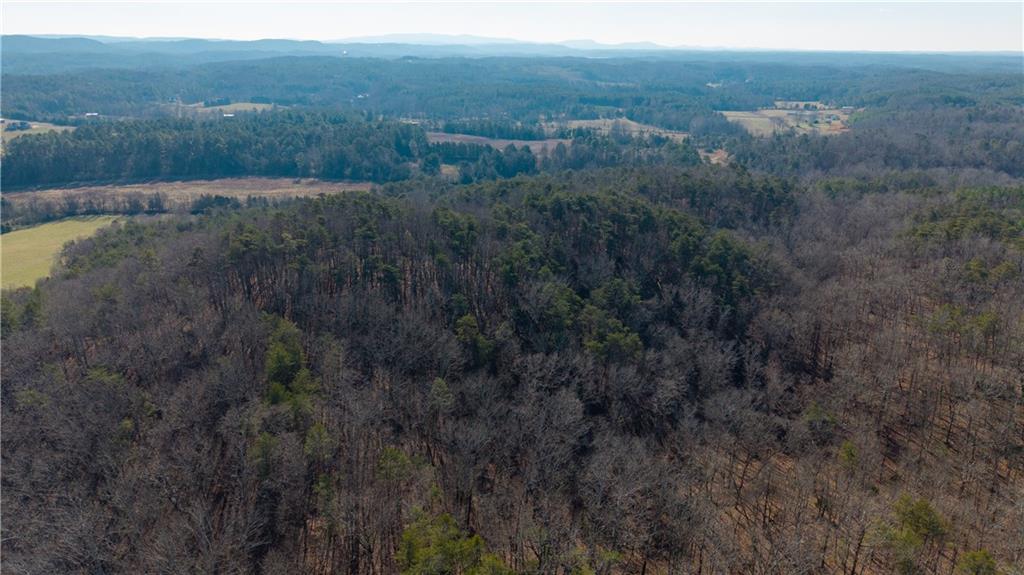 0 Brookshire Road Ranger, GA 30734 - Photo 51 of 59 a view of a city with lush green forest