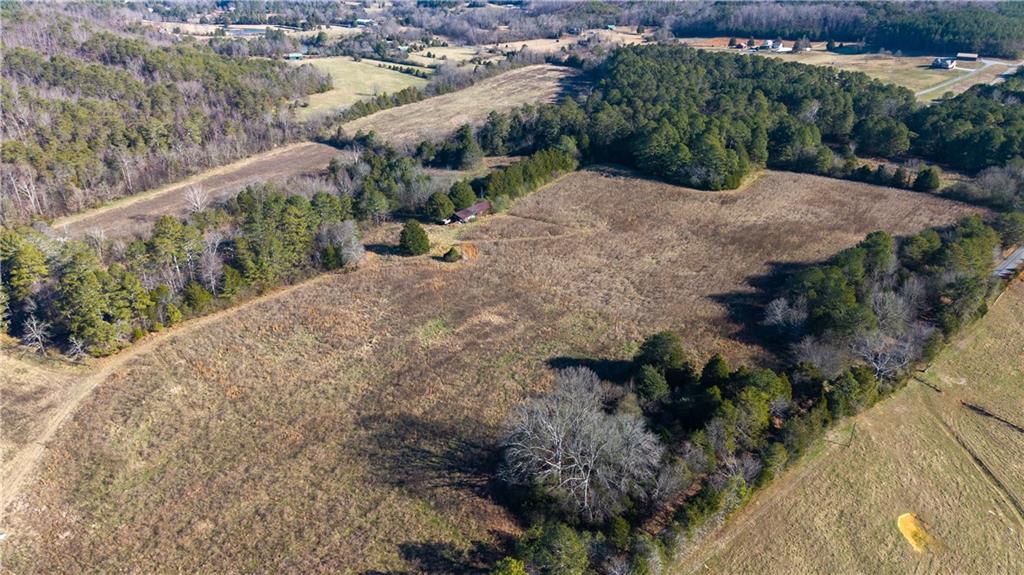 0 Brookshire Road Ranger, GA 30734 - Photo 53 of 59 a view of a yard with plants and large trees