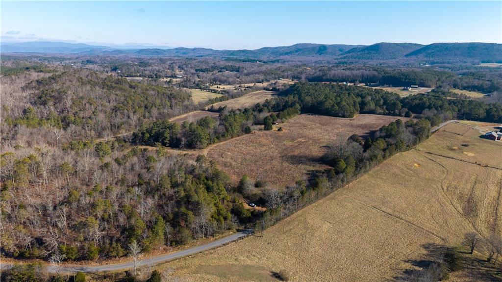 0 Brookshire Road Ranger, GA 30734 - Photo 54 of 59 an aerial view of multiple house