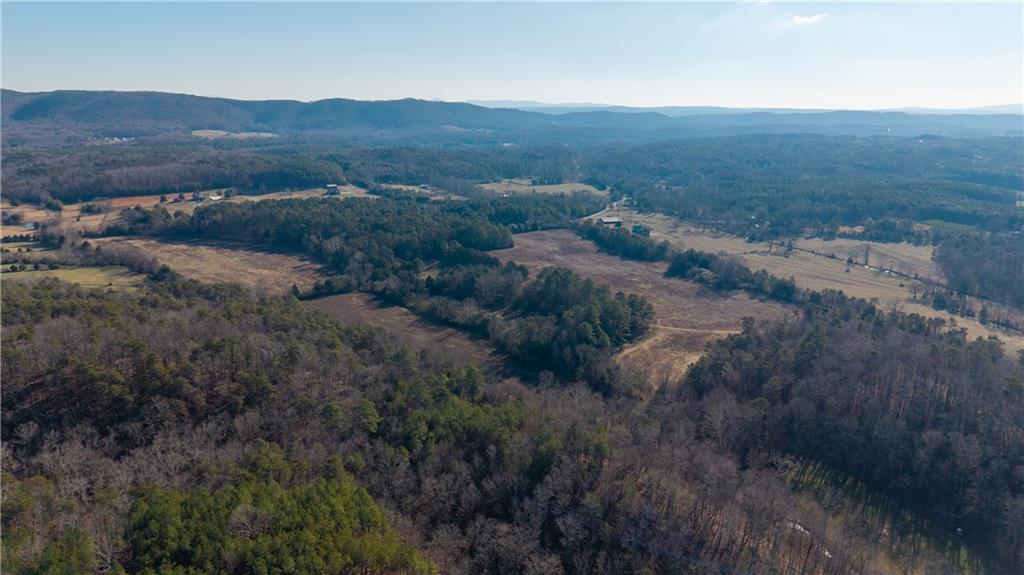 0 Brookshire Road Ranger, GA 30734 - Photo 55 of 59