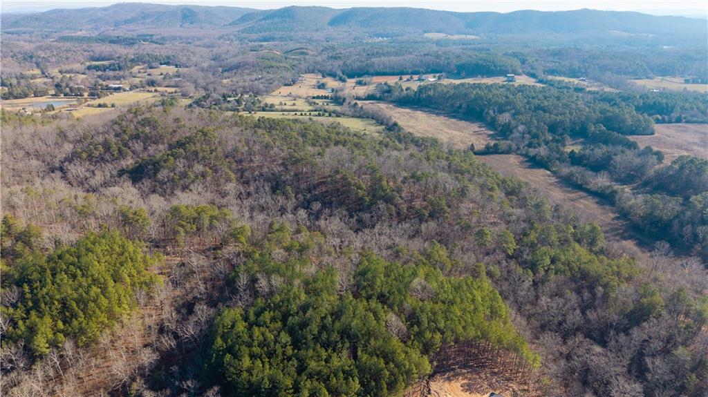 0 Brookshire Road Ranger, GA 30734 - Photo 56 of 59 an aerial view of residential house and green space
