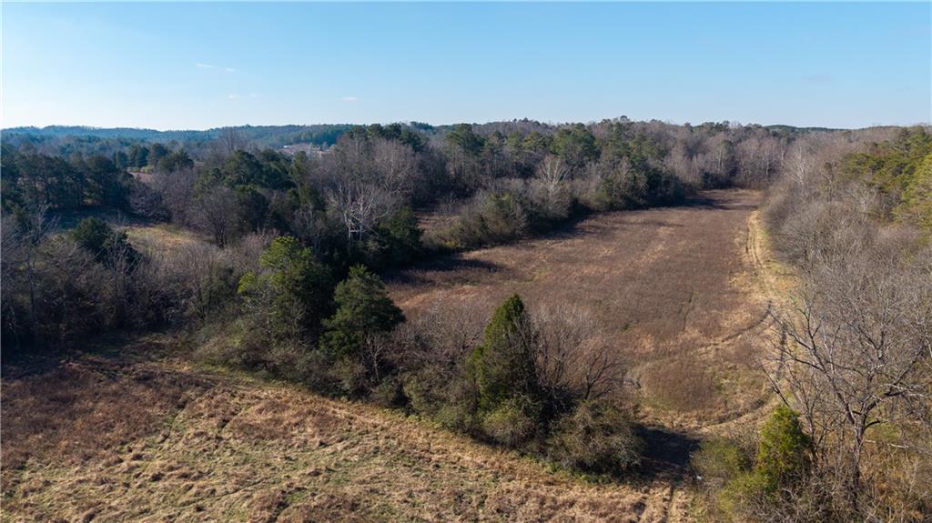 0 Brookshire Road Ranger, GA 30734 - Photo 58 of 59 a view of a dry yard with trees