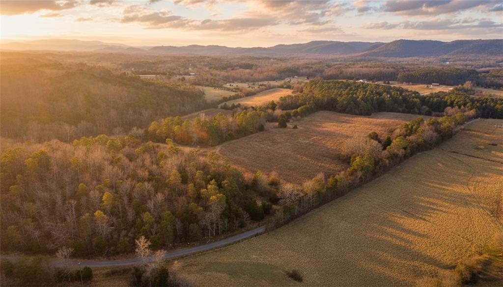 0 Brookshire Road Ranger, GA 30734 - Photo 59 of 59 a view of a city