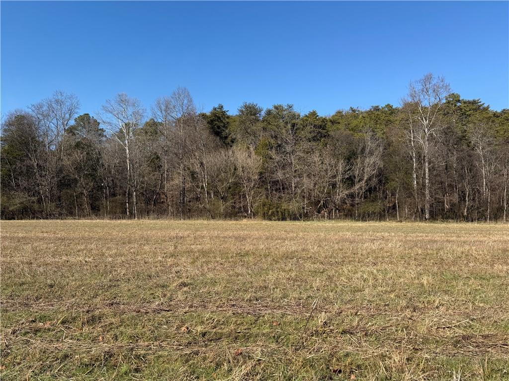 0 Brookshire Road Ranger, GA 30734 - Photo 6 of 59 a view of yard and mountain view