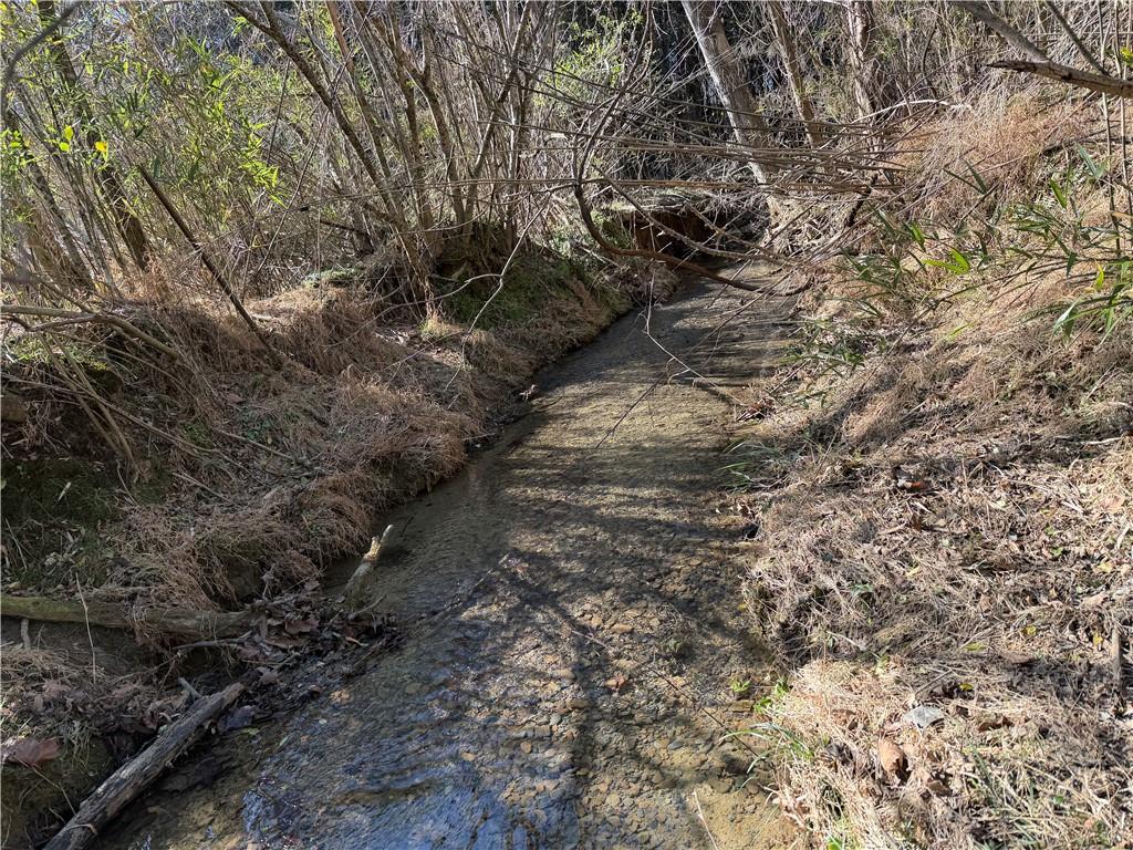 0 Brookshire Road Ranger, GA 30734 - Photo 7 of 59 a view of a forest with trees