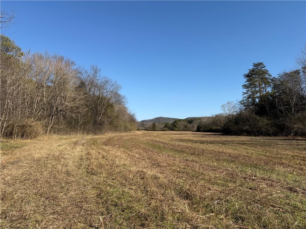 0 Brookshire Road Ranger, GA 30734 - Photo 8 of 59 a view of an lake and a mountain