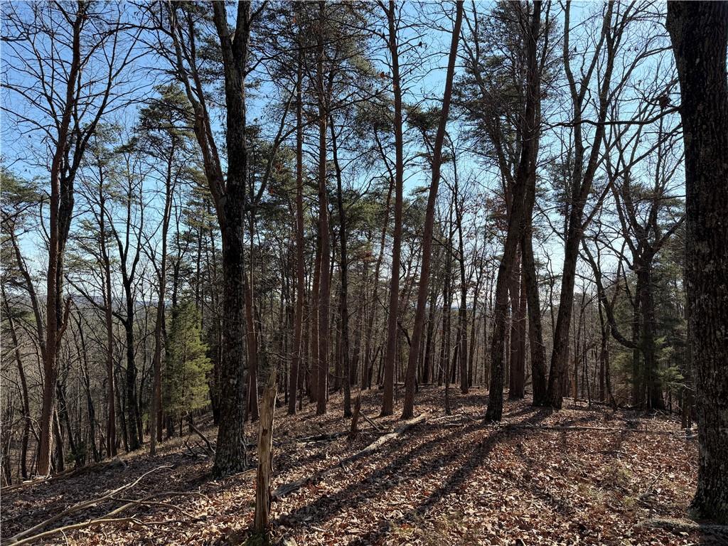 0 Brookshire Road Ranger, GA 30734 - Photo 9 of 59 a view of a backyard with trees