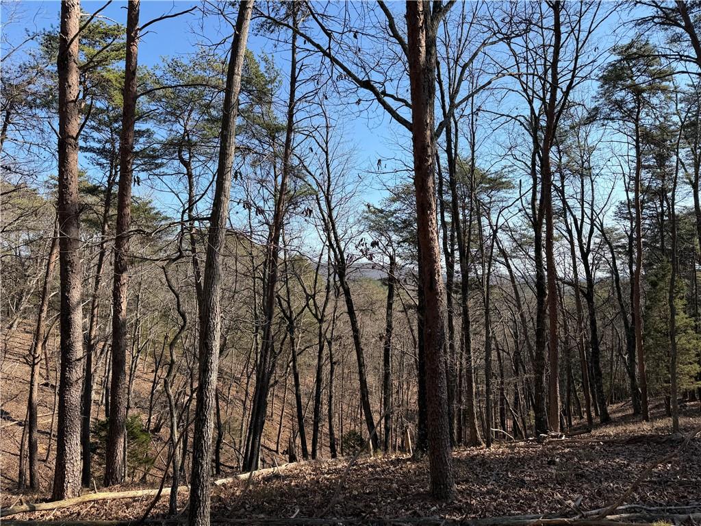 0 Brookshire Road Ranger, GA 30734 - Photo 10 of 59 a view of a yard with trees