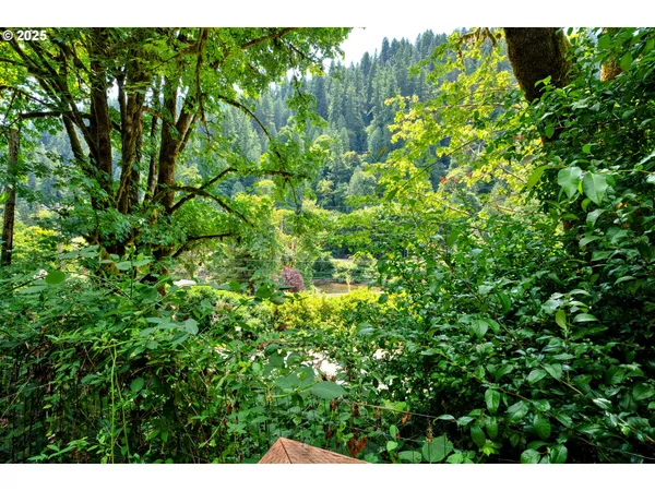 a view of a garden