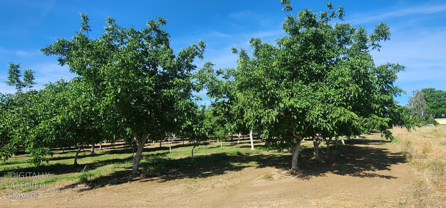 0 George Road Williams, CA 95987 - Photo 9 of 13 a view of a park