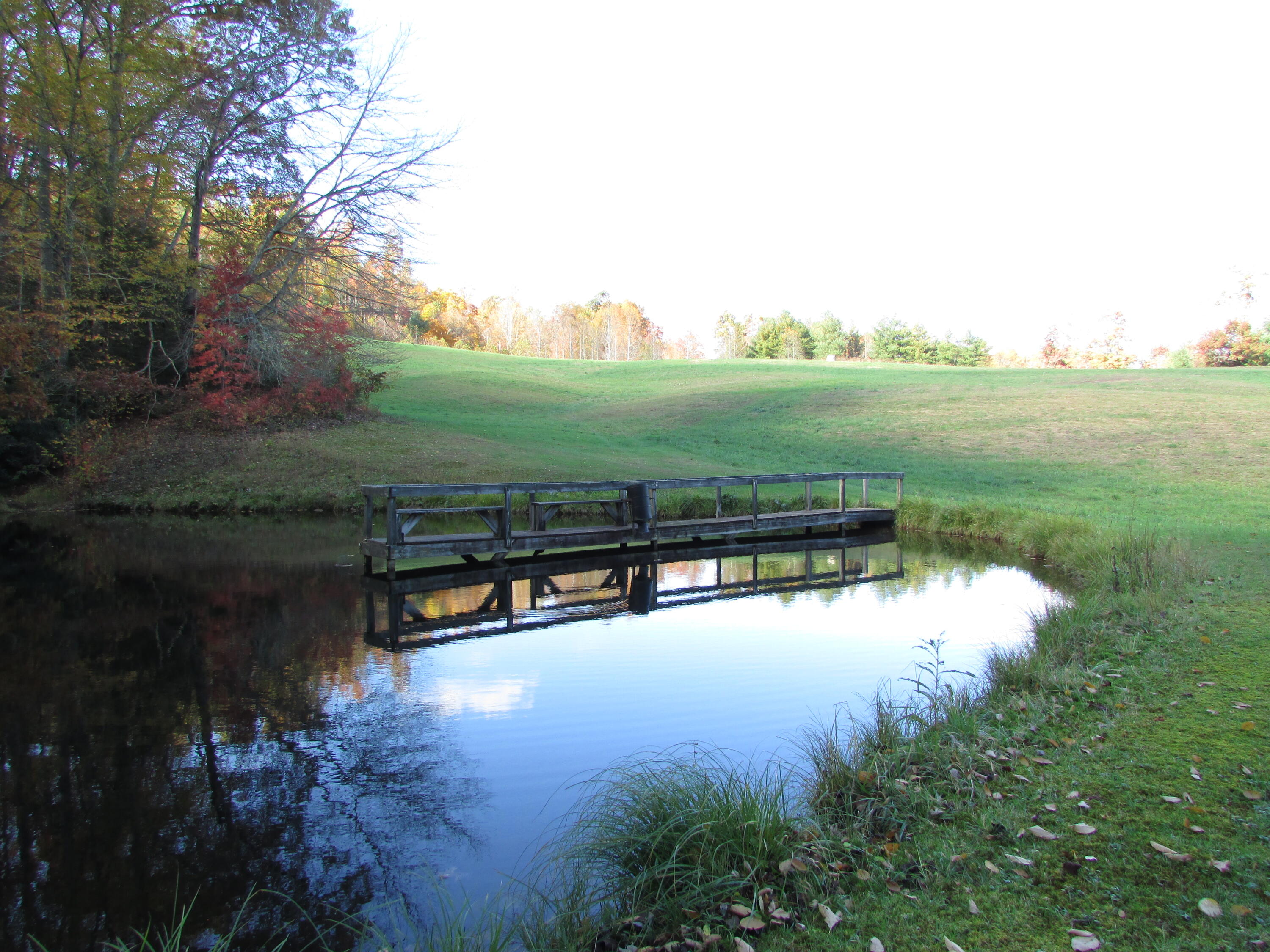 Tbd Tbd Fairview / Ray Simerly Road Hampton, TN 37658 - Photo 3 of 64 TBD Fairview Road Hampton TN 37658 (40)