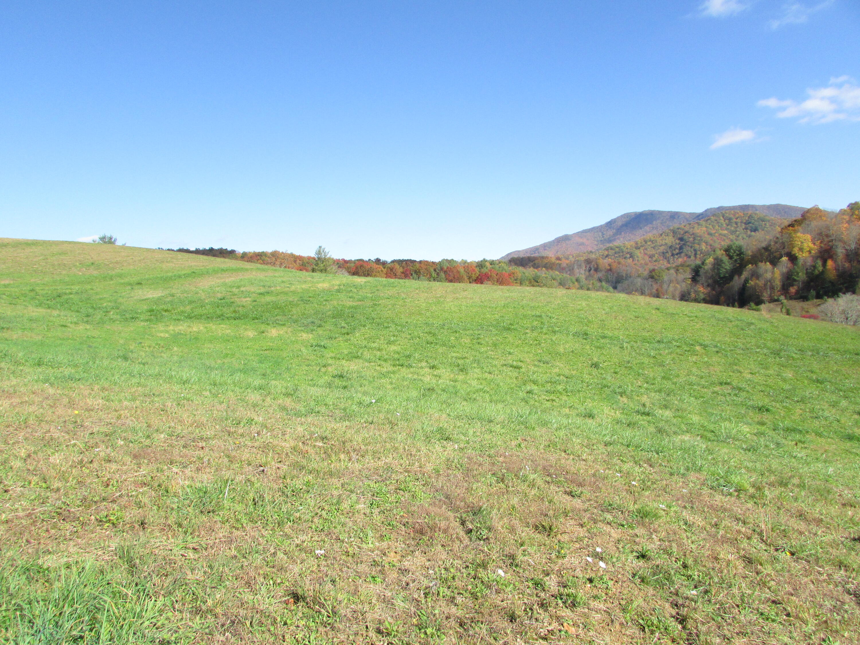 Tbd Tbd Fairview / Ray Simerly Road Hampton, TN 37658 - Photo 40 of 64 TBD Fairview Road Hampton TN 37658 (23)