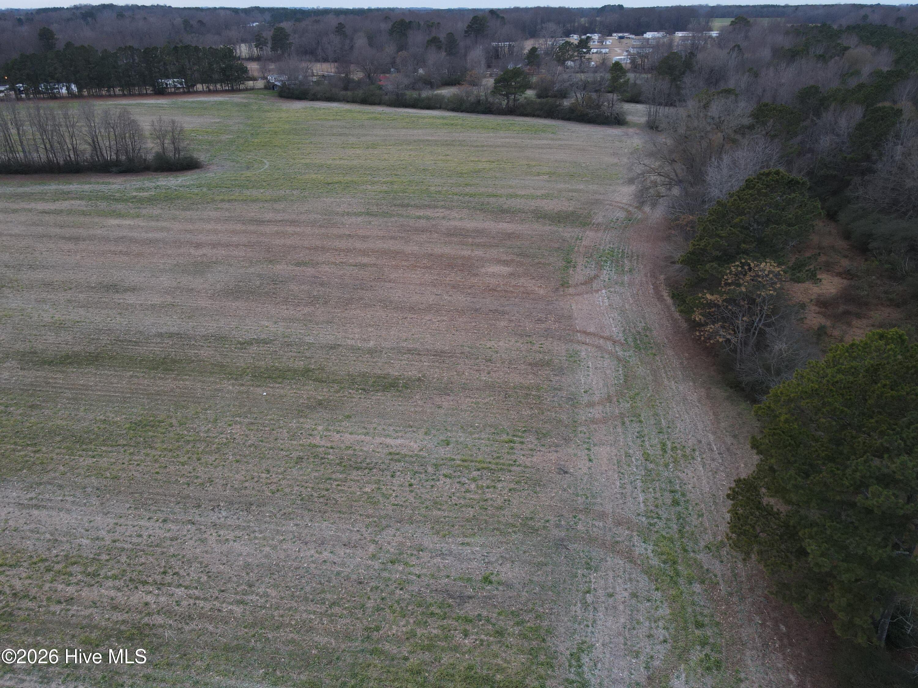 8201 Cedar Grove School Loop Road Nashville, NC 27856 - Photo 41 of 68 CG MLS 41