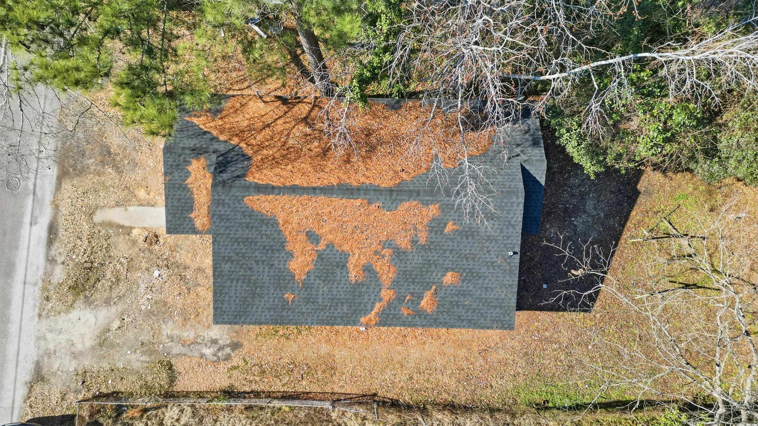 311 Barnes Street Mullins, SC 29574 - Photo 15 of 21