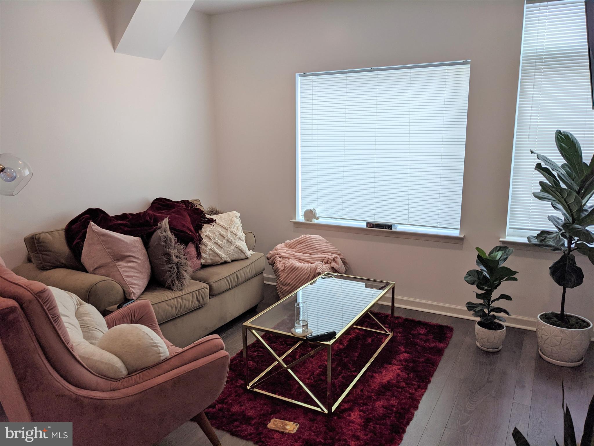 6615 Ridge Avenue, Unit 102 Philadelphia, PA 19128 - Photo 5 of 12 a living room with furniture and a potted plant