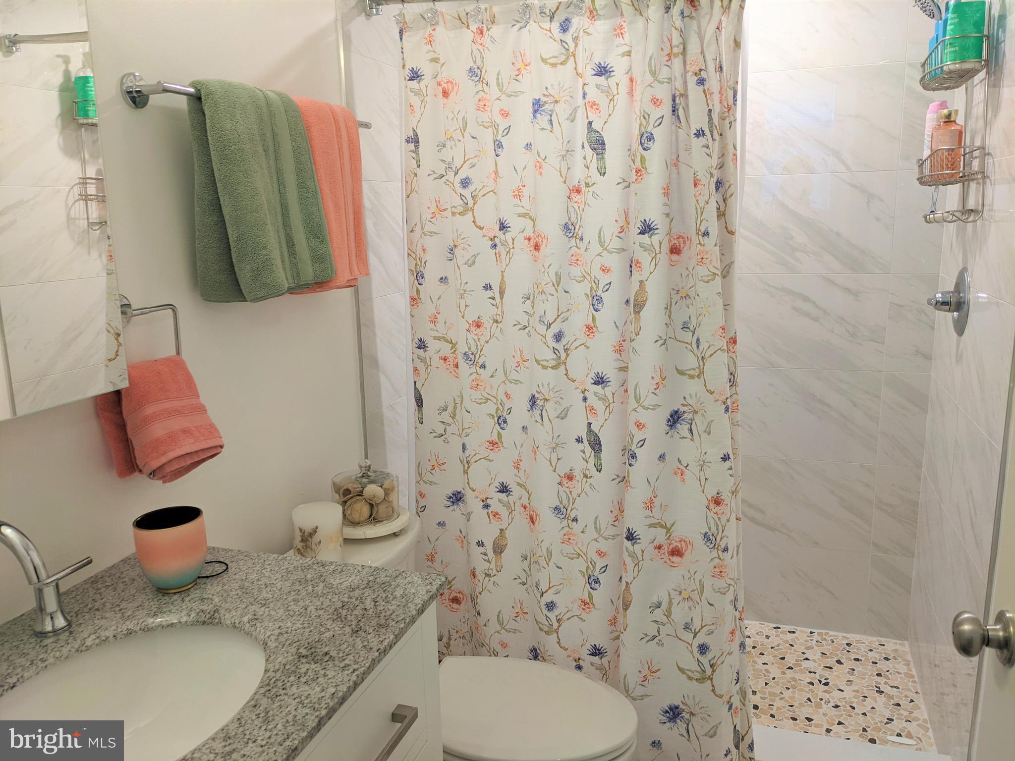 6615 Ridge Avenue, Unit 102 Philadelphia, PA 19128 - Photo 10 of 12 a bathroom with a granite countertop sink and a mirror
