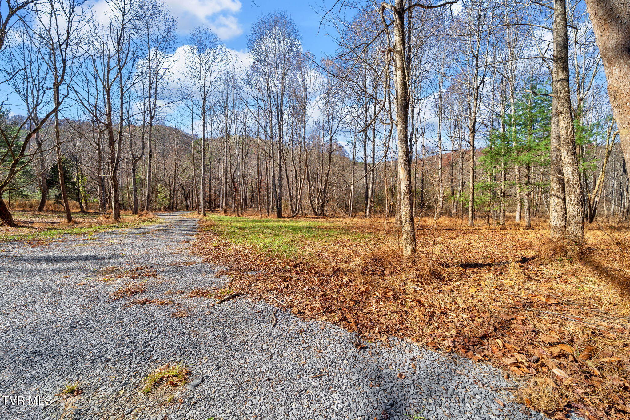 Tbd Tbd Mcinturff Springs Road Erwin, TN 37650 - Photo 2 of 22 15-web-or-mls-460 McInturff Rd-2 (2)
