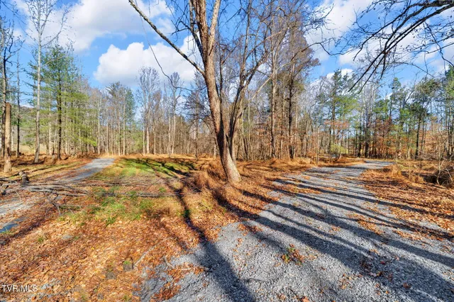 $350,000 | Tbd Tbd Mcinturff Springs Road, Erwin, TN 37650