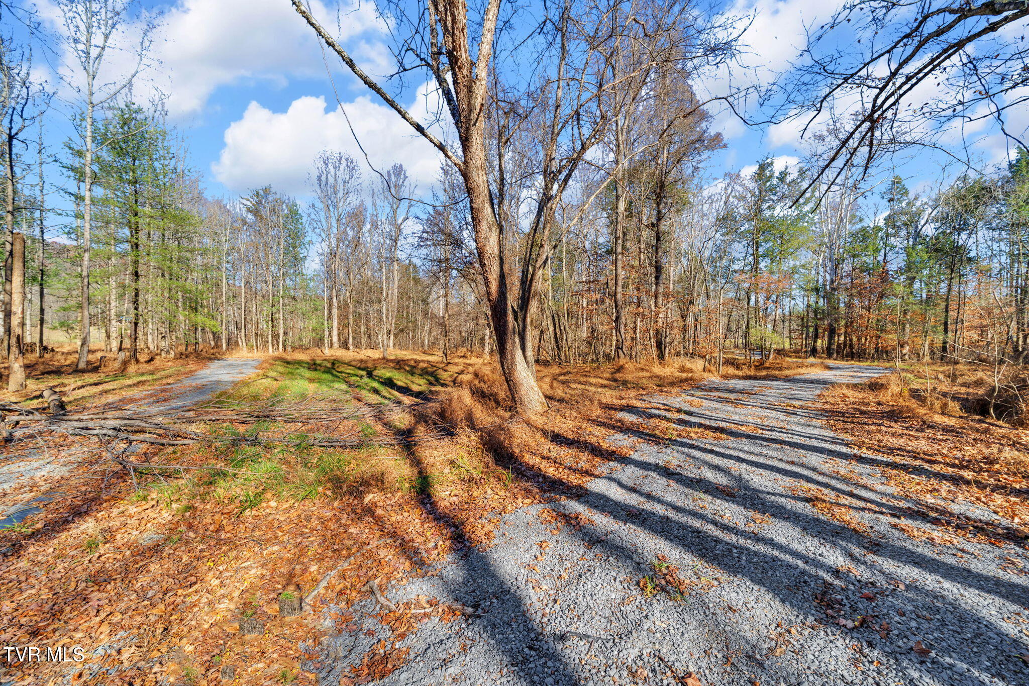 Tbd Tbd Mcinturff Springs Road Erwin, TN 37650 - Photo 3 of 22 16-web-or-mls-460 McInturff Rd-3 (2)