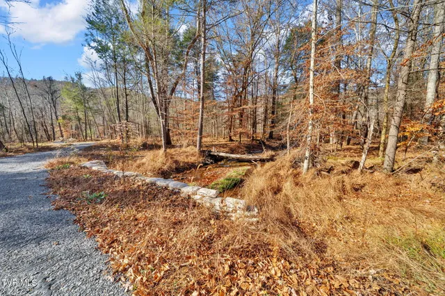 $350,000 | Tbd Tbd Mcinturff Springs Road, Erwin, TN 37650
