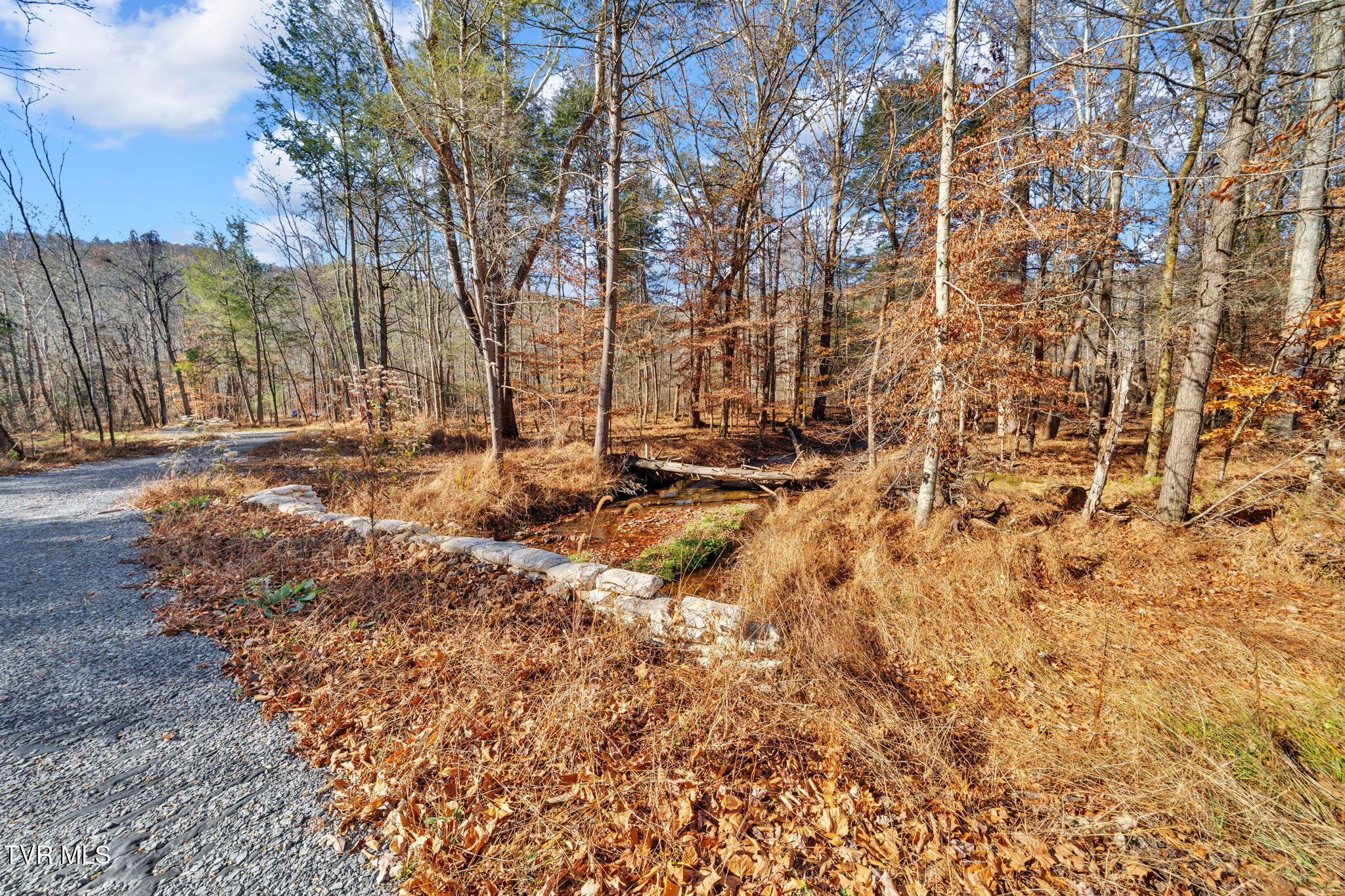 Tbd Tbd Mcinturff Springs Road Erwin, TN 37650 - Photo 4 of 22 17-web-or-mls-460 McInturff Rd-4 (2)
